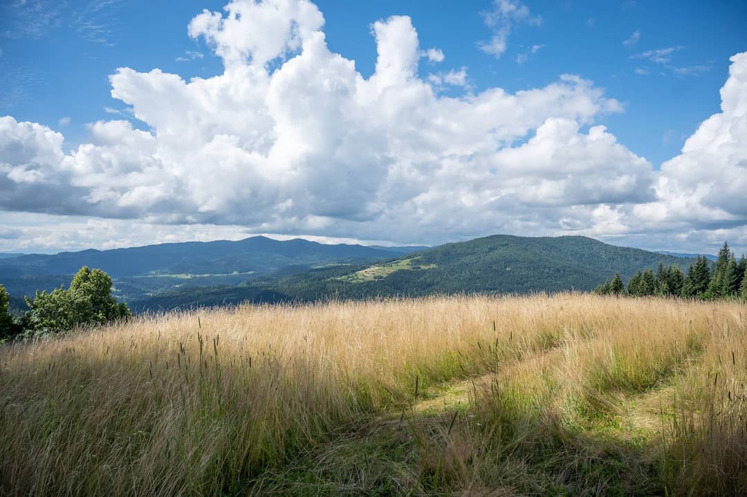 Beskid Niski - szlakiem utraconego świata